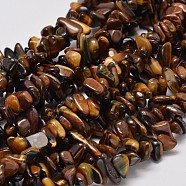 Natural Yellow Tiger Eye Chip Bead Strands, 4~12x4~7x2~5mm, Hole: 1mm, about 33.8 inch(X-G-L444-01)