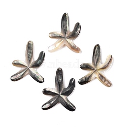 Sea Shell Pendants, Starfish/Sea Stars, Gray, 41x32x3mm, Hole: 1.5mm(SSHEL-Q297-56)