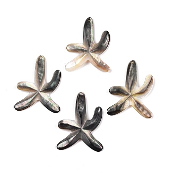 Sea Shell Pendants, Starfish/Sea Stars, Gray, 41x32x3mm, Hole: 1.5mm