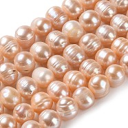 Natural Cultured Freshwater Pearl Beads Strands, Potato, Grade A++, PeachPuff, 8.5~10x8~9mm, Hole: 0.6mm, about 42pcs/strand, 14.06 inch(35.7cm)(PEAR-E018-30)