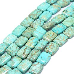 Natural Imperial Jasper Beads Strands, Rectangle, 18x13~13.5x6mm, Hole: 1.2mm, about 22pcs/strand, 15.75''(40cm)(G-G974-06)