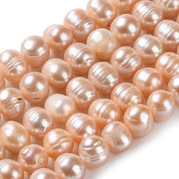Natural Cultured Freshwater Pearl Beads Strands, Potato, Grade A++, PeachPuff, 8.5~10x8~9mm, Hole: 0.6mm, about 42pcs/strand, 14.06 inch(35.7cm)
