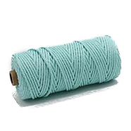 Cotton String Threads, Macrame Cord, Decorative String Threads, for DIY Crafts, Gift Wrapping and Jewelry Making, Pale Turquoise, 3mm, about 109.36 Yards(100m)/Roll(PW-WG49487-33)
