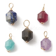 Natural Mixed Gemstone Copper Wire Wrapped Charms, Faceted Bicone Barrel Drum, Golden, 10~12.5x5~6.5x5~6mm, Hole: 2~2.5mm(PALLOY-JF02173)