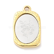 304 Stainless Steel Pendants, Rectangle with Twelve Zodiac Flower Charm, Golden & Stainless Steel Color, December Holly, 23x14.5x3mm, Hole: 2mm(STAS-F303-B12)