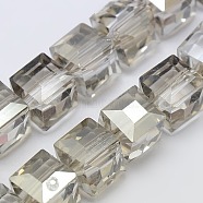 Faceted Cube Shaped Crystal Glass Beads Strands, Gray, 10x10x10mm, Hole: 1mm, about 79pcs/strand, 30.7 inch(GLAA-F008-F03)