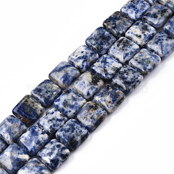 Natural Blue Spot Jasper Beads Strands, Square, 14x14x5.5mm, Hole: 1.2mm, about 28pcs/strand, 15.16 inch~15.35 inch(38.5~39cm)(G-N326-140G)