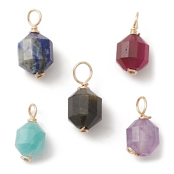 Natural Mixed Gemstone Copper Wire Wrapped Charms, Faceted Bicone Barrel Drum, Golden, 10~12.5x5~6.5x5~6mm, Hole: 2~2.5mm
