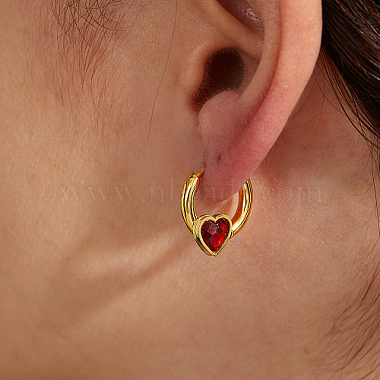 Stainless Steel Hoop Earrings for Women(RQ2025)-3