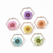 Transparent Epoxy Resin Pendants, with Brass Etched Metal Embellishments and Dried Chrysanthemum Flower inside, Brass Loops, Hexagon, Mixed Color, 28x28x4mm, Hole: 1.5mm(CRES-S359-28)