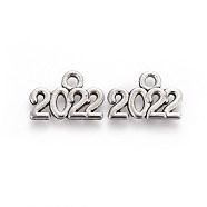 Tibetan Style Zinc Alloy Charms, New Year 2022, Antique Silver, 14.3x9.5x1.5mm, Hole: 1.6mm(PALLOY-I141-30AS-C)