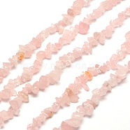 Natural Rose Quartz Chip Bead Strands, 5~8x5~8mm, Hole: 1mm, about 31.5 inch(G-M205-02)