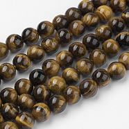 Natural Yellow Tiger Eye Bead Strands, Round, Grade AB+, 8~8.5mm, Hole: 1mm, about 45~47pcs/strand, 14.9 inch(38cm)(G-G735-65-8mm-AB+)