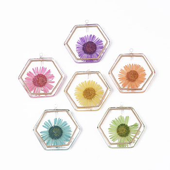 Transparent Epoxy Resin Pendants, with Brass Etched Metal Embellishments and Dried Chrysanthemum Flower inside, Brass Loops, Hexagon, Mixed Color, 28x28x4mm, Hole: 1.5mm