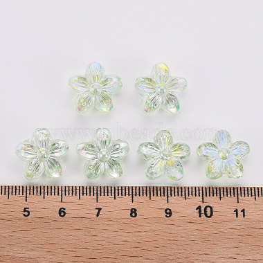 Transparent Acrylic Beads(TACR-S154-45C-327)-4
