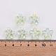 Transparent Acrylic Beads(TACR-S154-45C-327)-4
