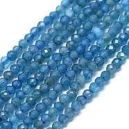 Natural Apatite Beads Strands, Faceted, Round, 1.5~2mm, Hole: 0.5mm, about 253~258pcs/strand, 15.28~15.43 inch(38.8~39.2cm)(G-G106-C06-04)