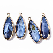Natural Freshwater Shell Pendants, with Iron Loops, Edge Golden Plated, Dyed, Teardrop, Marine Blue, 31~33x10.5~12x5mm, Hole: 1.8mm(SHEL-R047-03A)