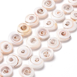 Natural Spiral Shell Beads Strands, Heart, Seashell Color, 20x20x6mm, Hole: 0.6mm, about 21pcs/strand, 15.94''(40.5cm)(SSHEL-G023-06)