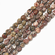 Natural Leopard Skin Jasper Beads Strands, Tumbled Stone, Nuggets, 4~15x4~8x3~7mm, Hole: 1mm, about 40~70pcs/strand, 15.7 inch(G-S301-53)