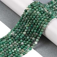 Natural Green Jade Bead Strands, Round, 3mm, Hole: 0.8mm, about 126pcs/strand, 16 inch(X-G-A130-3mm-M06)