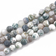 Natural Tree Agate Beads Strands, Frosted, Round, 8~8.5mm, Hole: 1mm, about 47pcs/strand, 15.5 inch(X-G-T106-038)
