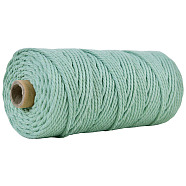 Cotton String Threads for Crafts Knitting Making, Medium Aquamarine, 3mm, about 109.36 Yards(100m)/Roll(KNIT-PW0001-01-12)