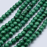 Natural Malachite Beads Strands, Grade AB, Round, 14mm, Hole: 1mm, about 28pcs/strand, 15.5 inch(39.5cm)(G-F571-27AB1-14mm)