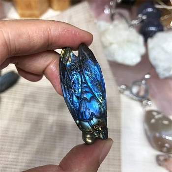 Dyed Natural Labradorite Carved Display Decorations, Figurine Home Decoration, Reiki Energy Stone for Healing, Insects, 40~60mm