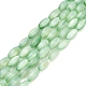 eau douce naturelle de coquillage perles brins(SHEL-C010-01A)-1
