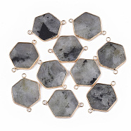 Natural Labradorite Links connectors, with Golden Tone Brass Open Back Settings, Hexagon, 35x25x3.5mm, Hole: 2mm(G-S359-053A)