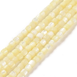 Natural Trochus Shell Beads Strands, Dyed, Column, Pale Goldenrod, 3.5x3.5mm, Hole: 0.8mm, about 113pcs/strand, 15.59''(39.6cm)(SSHEL-H070-02F)