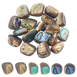18Pcs Natural Abalone Shell/Paua Shell Beads, Nuggets, Colorful, 10.5x7.5~8.5x4~7.5mm, Hole: 1mm(SSHEL-BC0001-27)