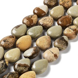 Natural Picture Jasper Beads Strands, Teardrop, 17.5~18x13x6mm, Hole: 1.2mm, about 22pcs/strand, 15.24 inch(38.7cm)(G-L242-28)