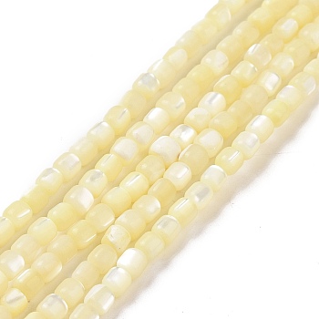 Natural Trochus Shell Beads Strands, Dyed, Column, Pale Goldenrod, 3.5x3.5mm, Hole: 0.8mm, about 113pcs/strand, 15.59''(39.6cm)