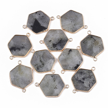 Natural Labradorite Links connectors, with Golden Tone Brass Open Back Settings, Hexagon, 35x25x3.5mm, Hole: 2mm