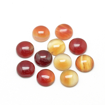 Natural Agate Cabochons, Dyed, Half Round/Dome, 12x5mm