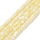 Brins de perles de coquillages naturels de troca(SSHEL-H070-02F)-1