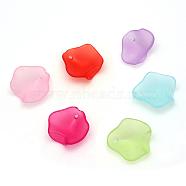 Transparent Acrylic Charms, Frosted, Leaf, Mixed Color, 14.5x14x1mm, Hole: 1.5mm, about 2083pcs/500g(FACR-Q009-13)