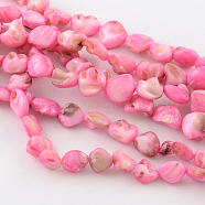 Dyed Natural Freshwater Shell Nuggets Bead Strands, Hot Pink, 8~18x7~16x4~12mm, Hole: 1mm, about 28pcs/strand, 15.7 inch(X-SHEL-Q004-04)