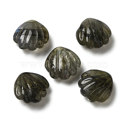 Natural Labradorite Carved Beads, No Hole, Shell Shape, 15x15x6.5mm(G-N343-02)