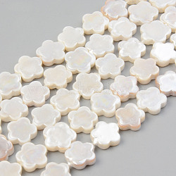 Electroplate Natural Freshwater Shell Beads Strands, Flower, Seashell Color, 10.5x11x3mm, Hole: 0.8mm, about 35pcs/strand, 14.84 inch~14.96 inch(37.7cm~38cm)es(37.7cm~38cm)(SHEL-T017-08)