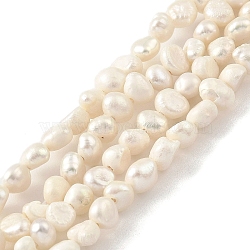 Natural Cultured Freshwater Pearl Beads Strands, Two Sides Polished, Grade B, Cornsilk, 2~3mm, Hole: 0.5mm, about 53pcs/strand, 7.09''(18cm)(PEAR-A006-01A)