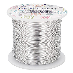 Round Aluminum Wire for Jewelry Making, with Spool, Platinum, 22 Gauge, 0.6mm, about 853.01 Feet(260m)/roll(AW-BC0003-17P)