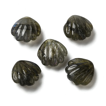 Natural Labradorite Carved Beads, No Hole, Shell Shape, 15x15x6.5mm