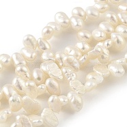 Natural Cultured Freshwater Pearl Beads Strands, Top Drilled, Nuggets, Grade 5A+, Old Lace, 3~4mm, Hole: 0.5mm, about 66pcs/strand, 8.27 inch(21cm)(PEAR-A006-14)