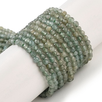 Natural Green Apatite Beads Strands, Faceted, Round, Grade AB, 2.5mm, Hole: 0.5mm, about 157~167pcs/strand, 15.39~16.14 inch(39.1~41cm)