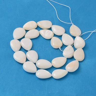 Natural White Shell Beads Strands(PBB263Y-1)-2