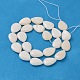 Natural White Shell Beads Strands(PBB263Y-1)-2