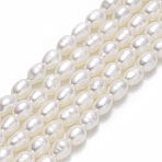 Natural Cultured Freshwater Pearl Beads Strands, Rice, Linen, 4.5~5x3.5~4mm, Hole: 0.6mm, about 70~72pcs/strand, 14.17''(36cm)(PEAR-J006-12A)